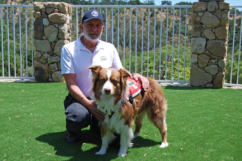Australian Shepherd