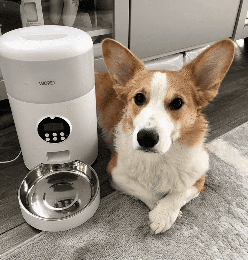 Automated Treat Dispenser