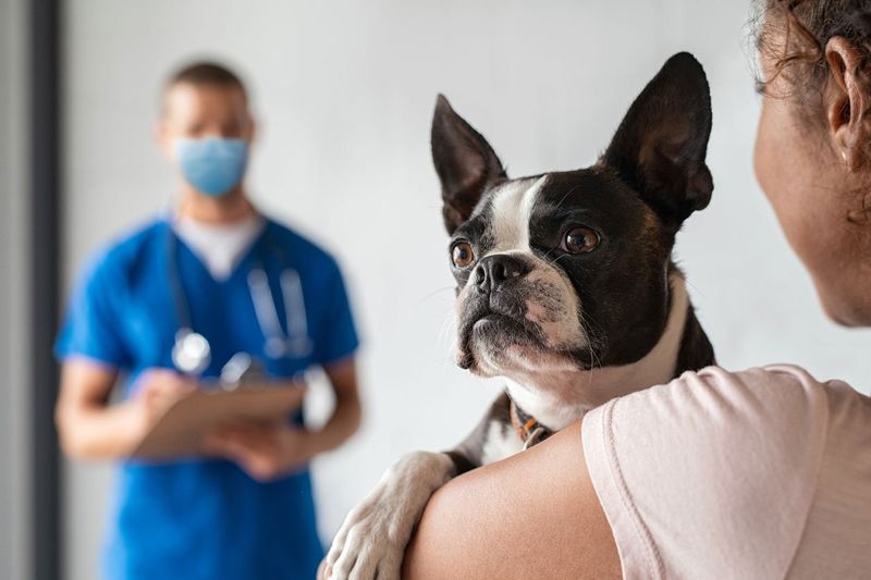 Avoiding Medical Advice