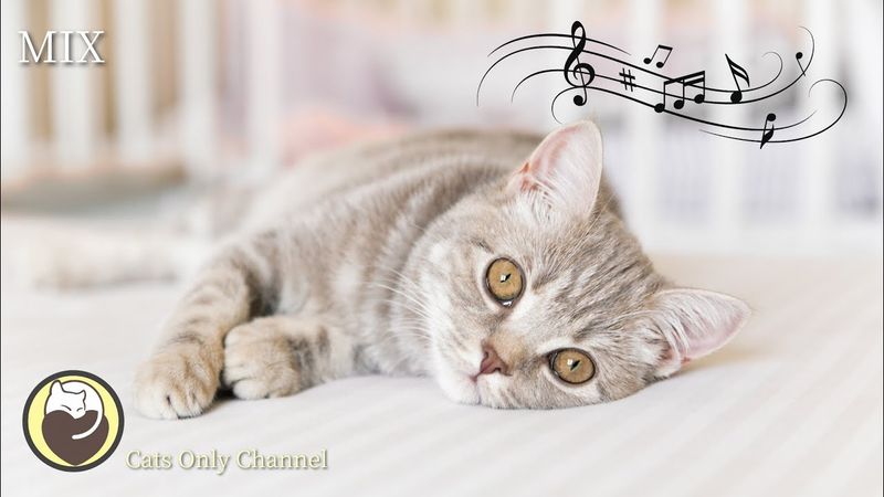 Background Music for Relaxation
