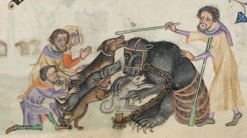 Baiting Bears with Live Animals