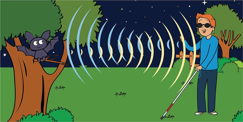 Bats and Echolocation Devices