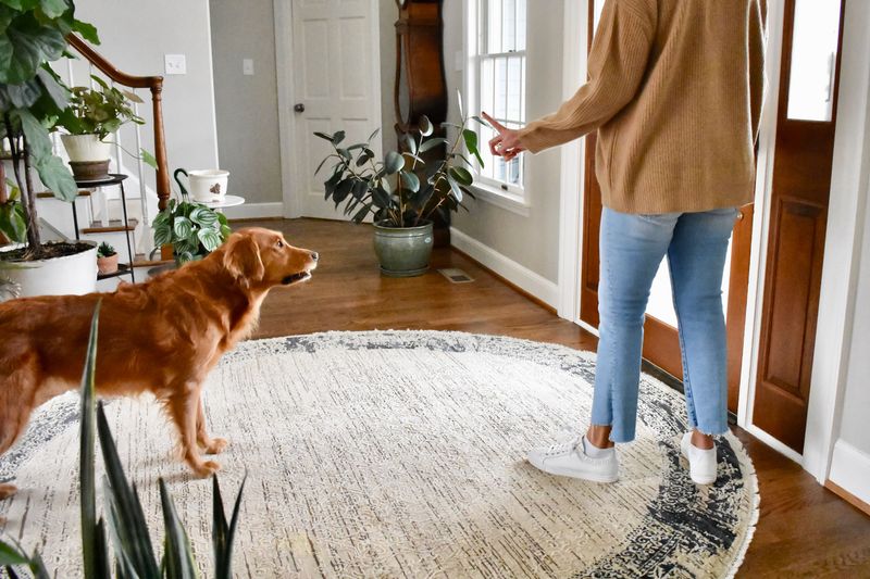 Becomes Anxious During Your Preparations to Leave