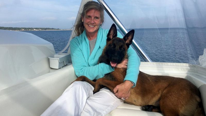 Belgian Malinois