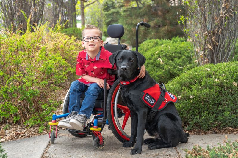 Bella, the Therapy Dog