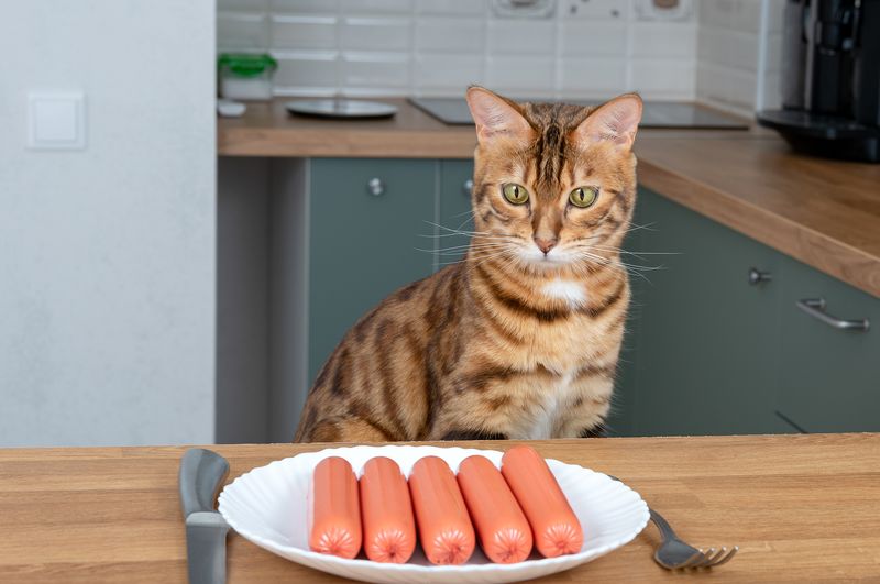 Bengal