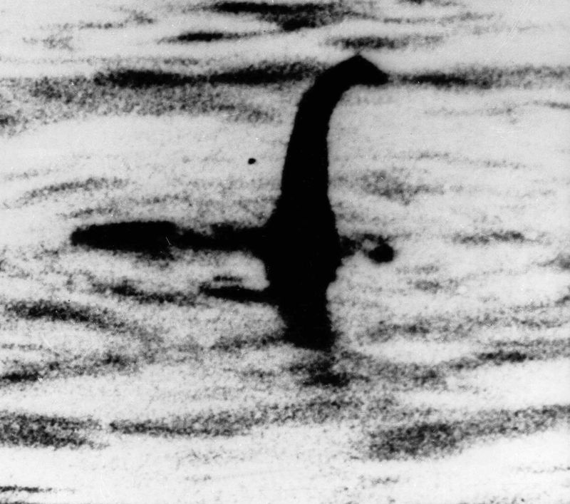 Bessie of Lake Erie