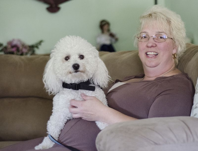 Bichon Frise