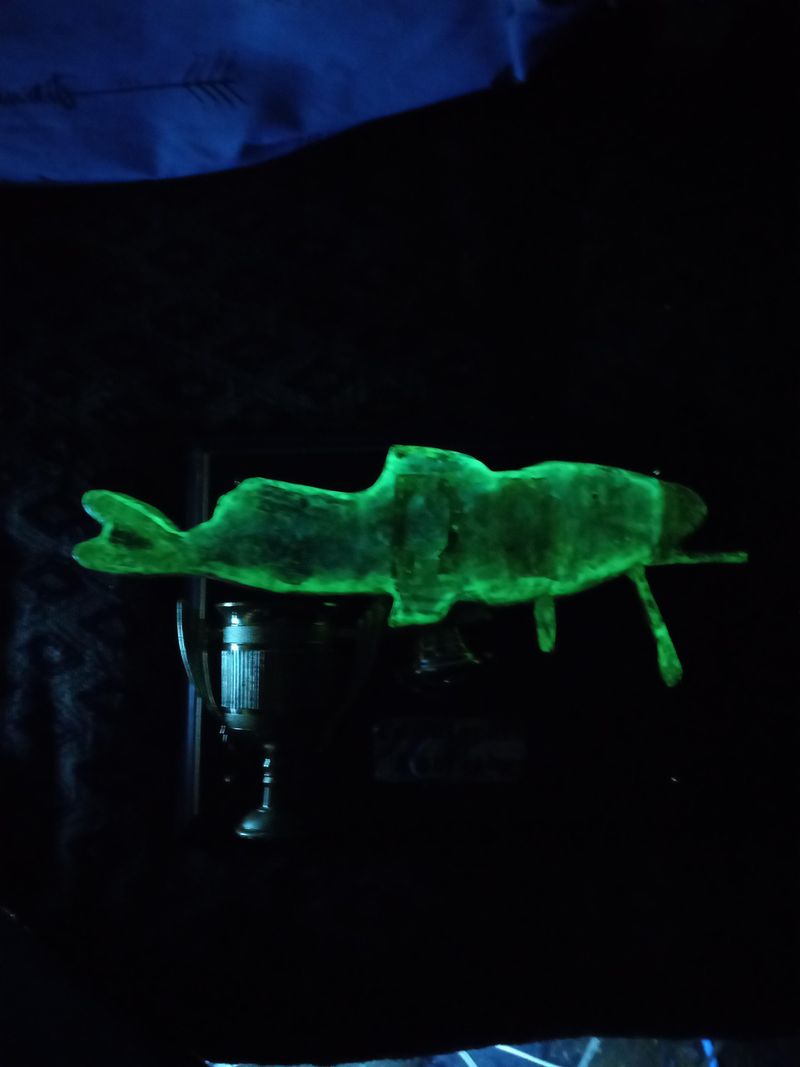 Bioluminescent Wonders