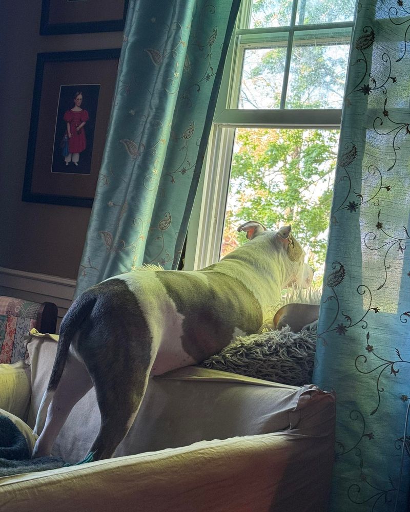 Bird Watching