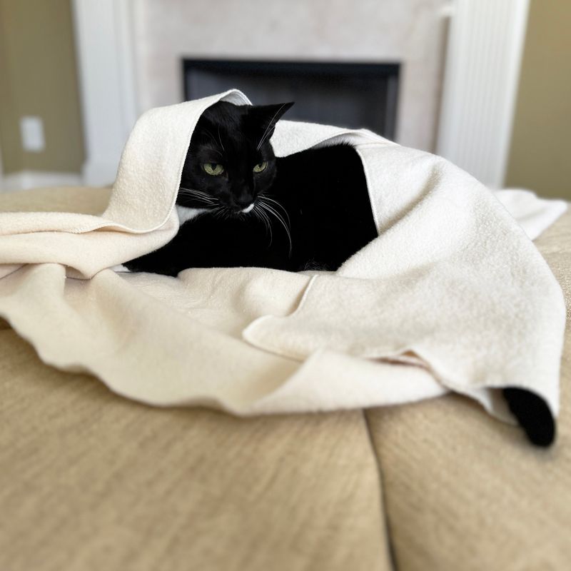 Blankets and Towels