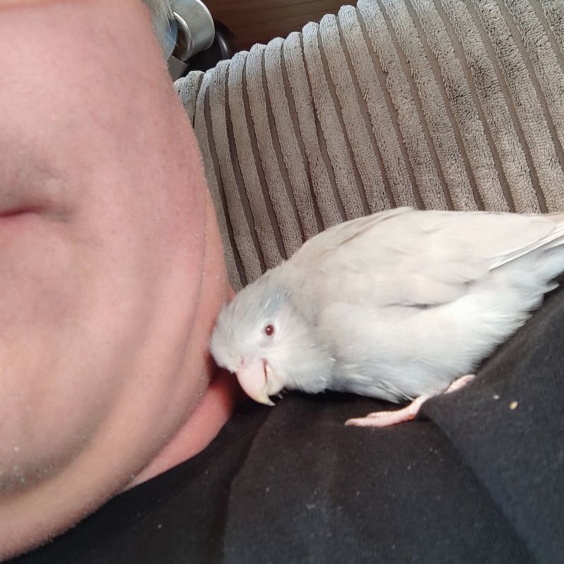 Bonding with Humans