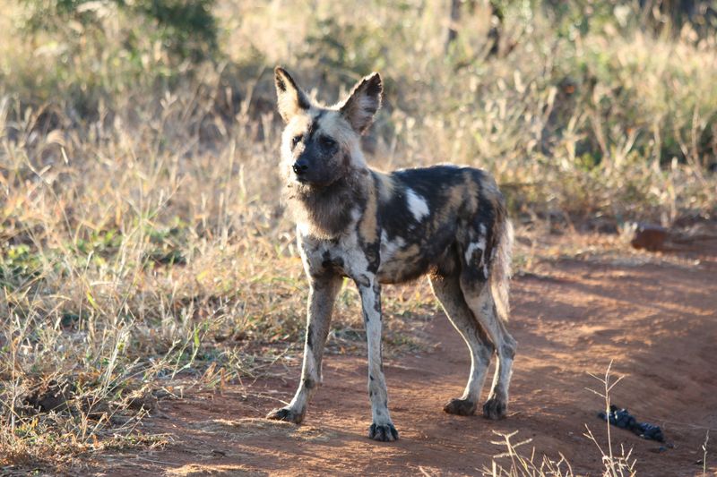 Botswana