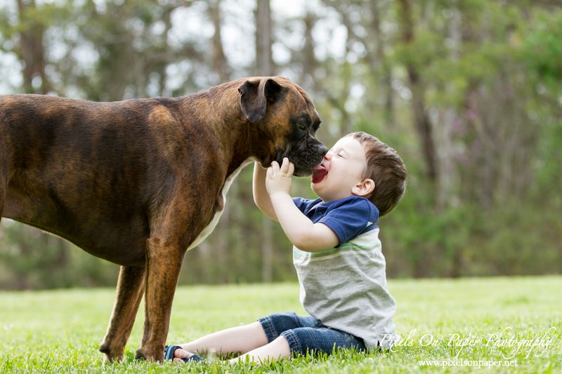 Boxer