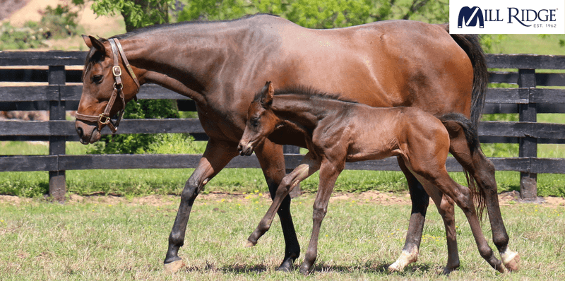 Breeding Practices