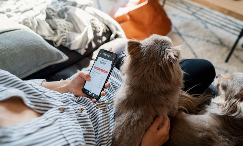 Budget for Cat Care