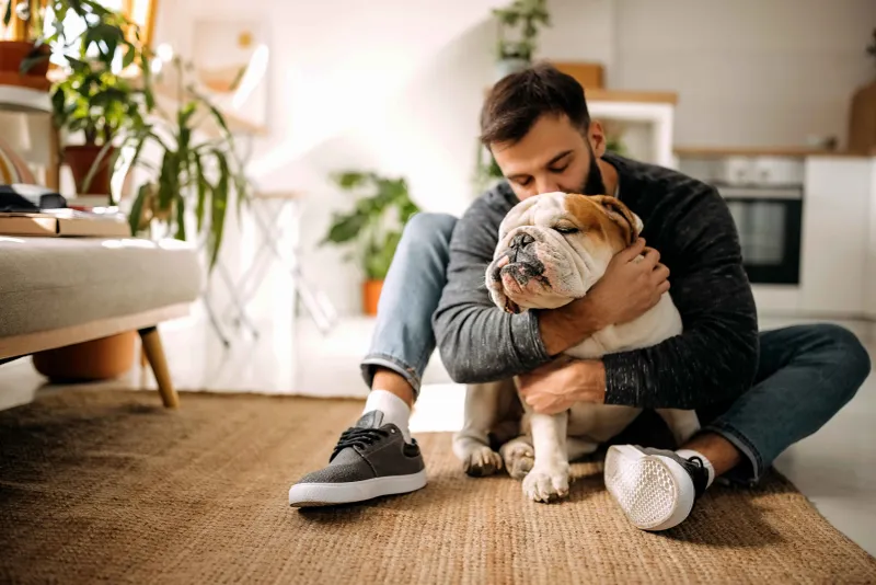 Bulldog