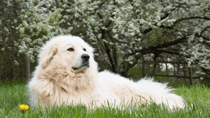 Calm and Relaxed