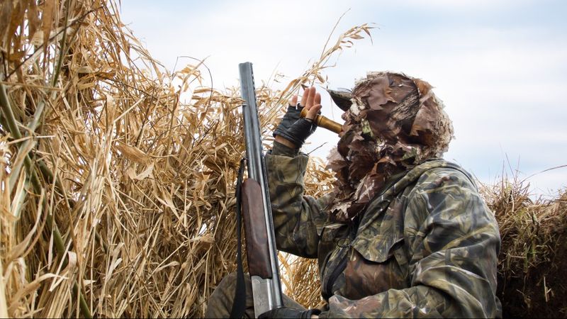 Camouflage Mastery