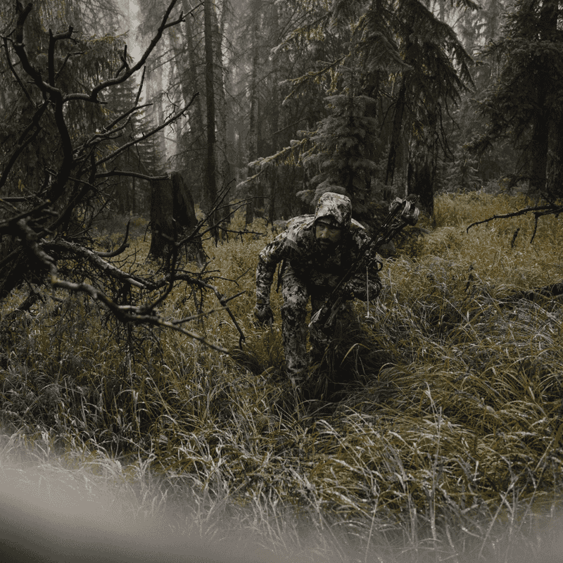 Camouflage Techniques: Blending into the Wilderness