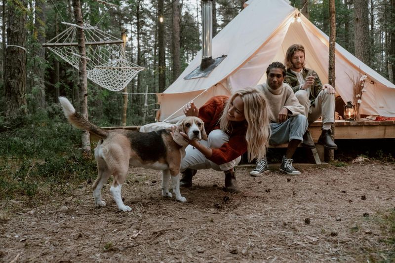 Camping Trips