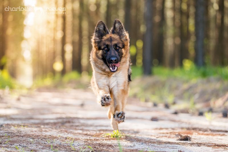 Capture Action Shots