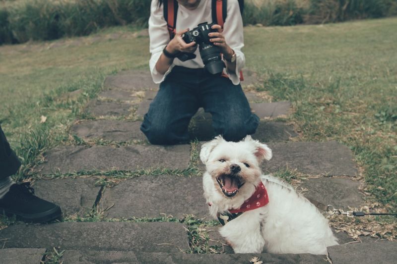 Capture Their Personality