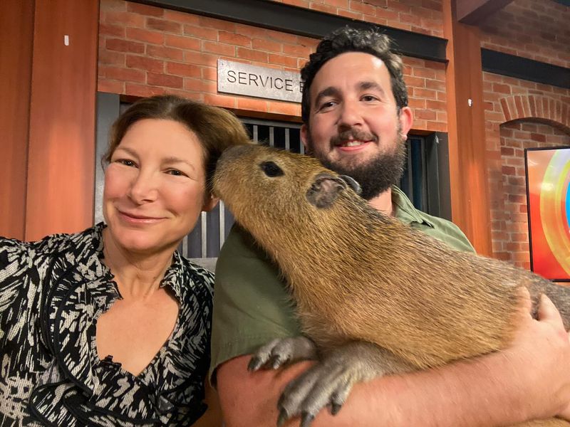 Capybara