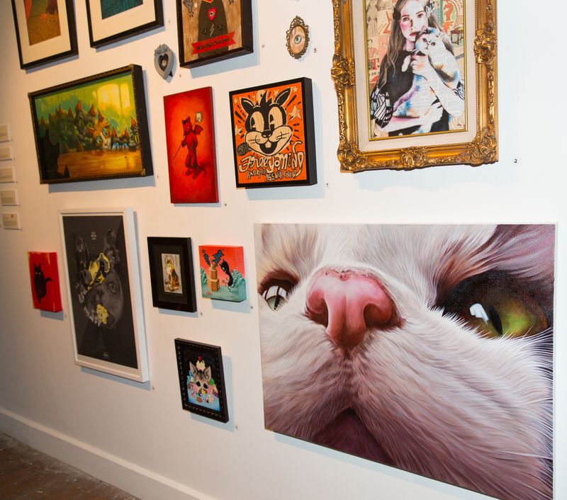 Cat Art on Display