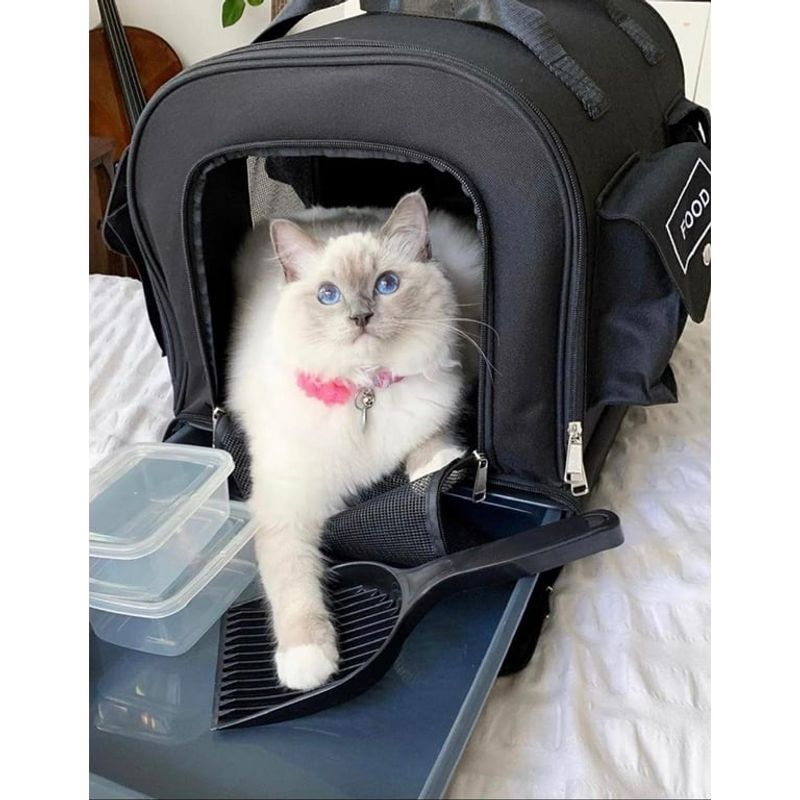 Cat Carrier