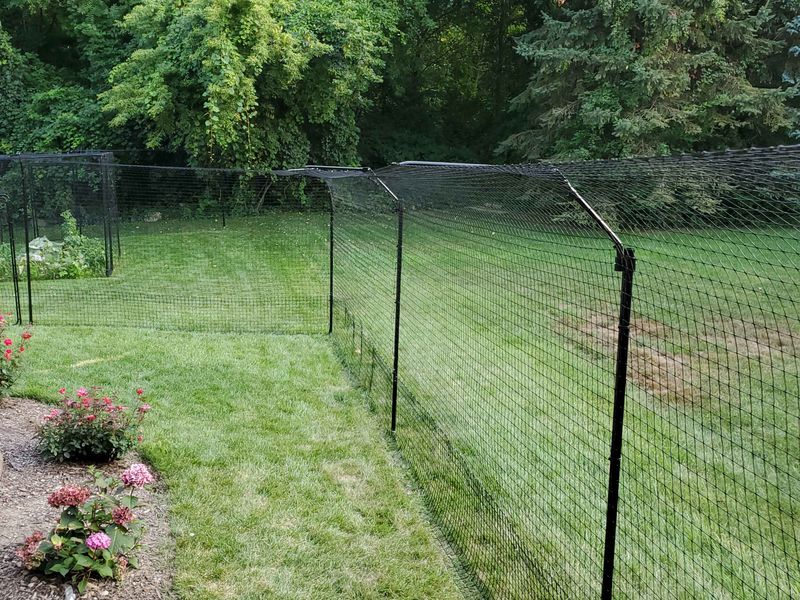 Cat-Proof Fencing
