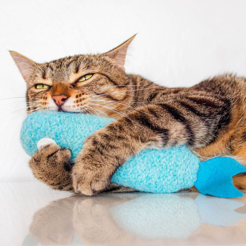 Catnip Toys