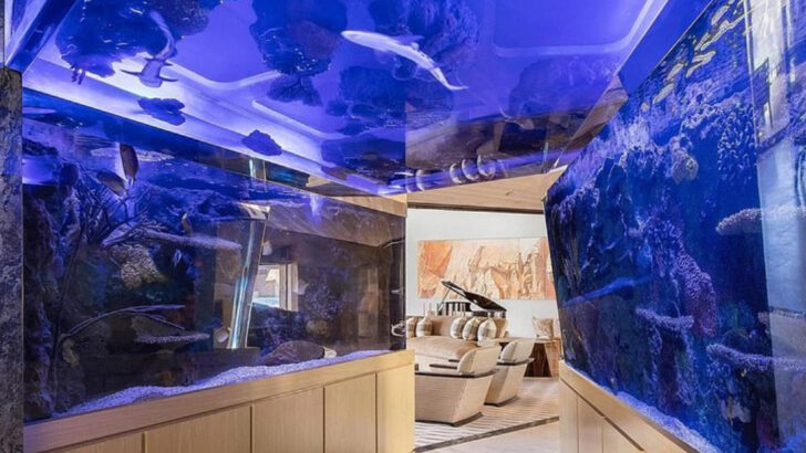 Celebrities Who Spent More on Exotic Fish Tanks Than Your House Is Worth
