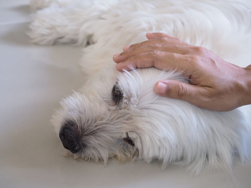 Change in Grooming Habits