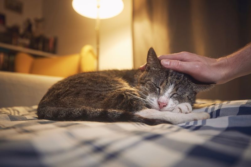 Change in Sleeping Habits