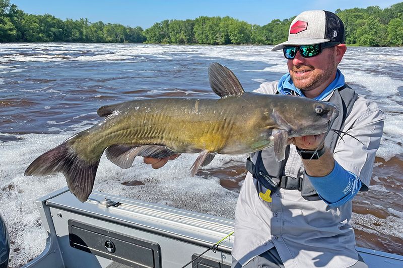 Channel Catfish