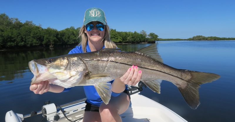 Charlotte Harbor, Florida