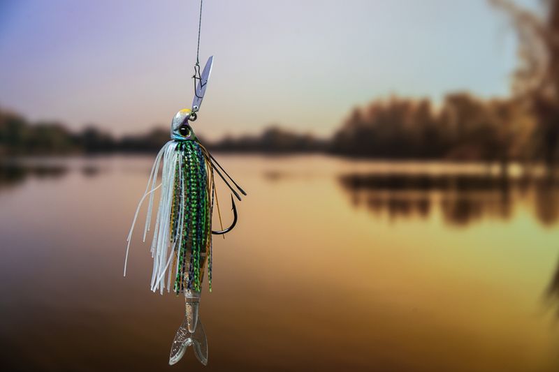 Chatterbait Chasing