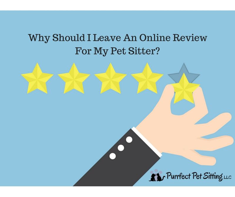 Check Online Reviews