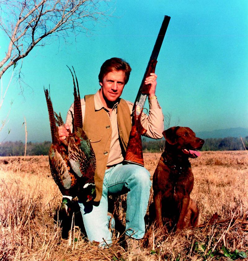 Chesapeake Bay Retriever