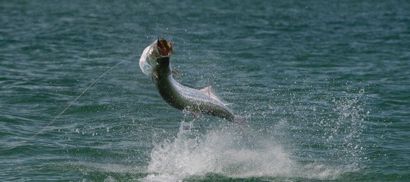 Chesapeake Bay, Virginia
