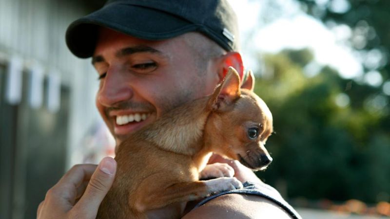 Chihuahua