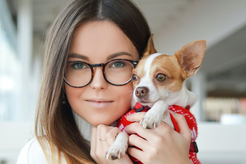 Chihuahua