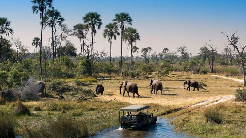 Chobe National Park, Botswana