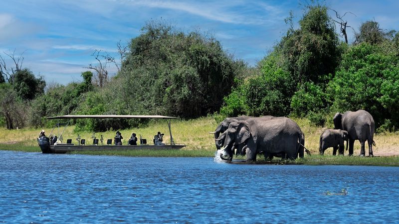 Chobe National Park River Safari