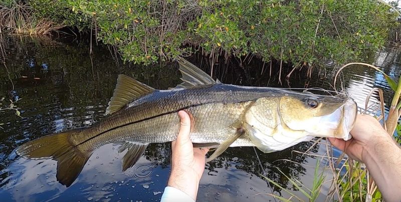 Chokoloskee, Florida