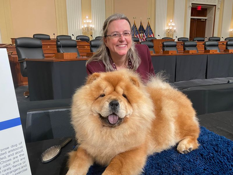 Chow Chow