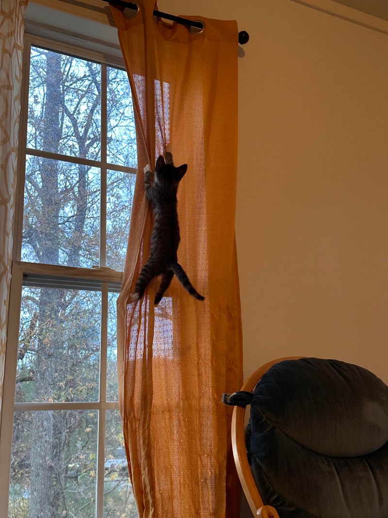 Climbing Curtains