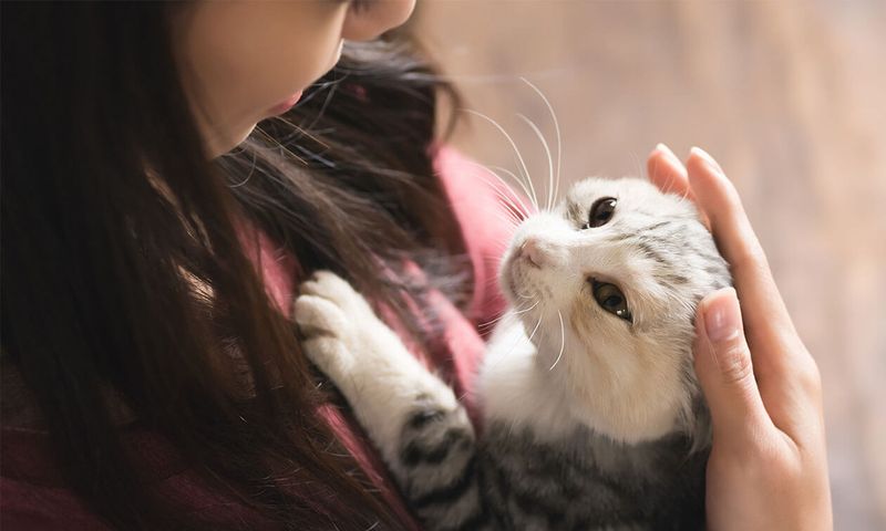 Clingy Behavior