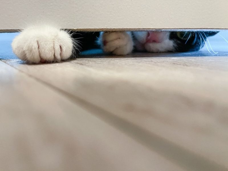 Closed Doors